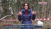 Trieste, dal boschetto dove è stata trovata Lilly