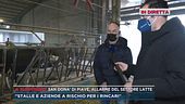 La stangata energia mette in crisi le stalle