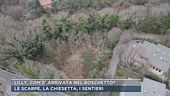 Lilly, com'è arrivata nel boschetto?