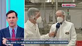 Novara, da un'azienda che produce sott'olio