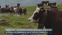 Torna domenica su Canale 5 "Melaverde"
