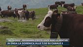 Torna domenica su Canale 5 "Melaverde"