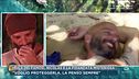 Isola dei Famosi, Nicolas e la fidanzata misteriosa