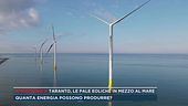 Taranto, le pale eoliche in mezzo al mare