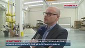 Treviso, impresa non trova lavoratori