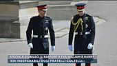 Speciale Giubileo, il rapporto tra William e Harry