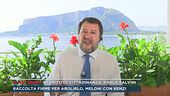 Reddito di cittadinanza, parla Salvini