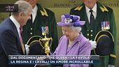 La regina e i cavalli, un amore incrollabile