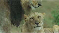 Ep. 6 - La lotta per il potere