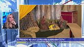 Il presepe no vax: le pecore guardano la tv
