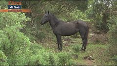 Puntata del 23 gennaio