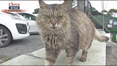 Puntata del 30 gennaio