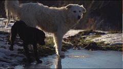 Puntata del 6 febbraio