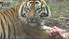 Puntata del 13 febbraio