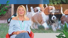 Puntata dell'11 settembre