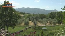 Puntata del 18 settembre