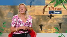 Puntata del 16 ottobre