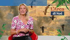 Puntata del 16 ottobre