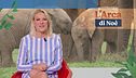 Puntata del 23 ottobre