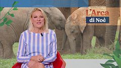 Puntata del 23 ottobre