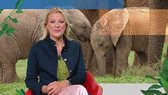 Puntata del 20 novembre