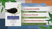 Il Can-piello