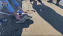 La liberazione di Perla