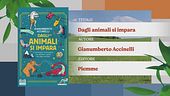 Il Can-piello