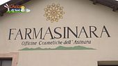 Officine cosmetiche dell'Asinara