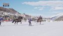 Scopriamo lo Skijoring