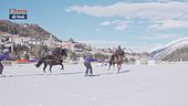 Scopriamo lo Skijoring