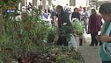 Arredare e vivere con il verde, stile di vita al centro della fiera Floracult