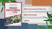 Il Can-piello