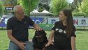 Cani e bambini, come creare una relazione sicura e attenta