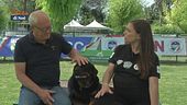 Cani e bambini, come creare una relazione sicura e attenta