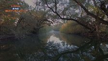 Il Danubio