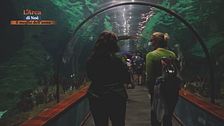 Il Loro Parque di Tenerife