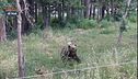 Il Sentiero dell'Orso