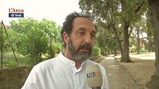 Forestazione Urbana
