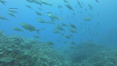 Habitat in sofferenza