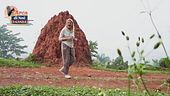 La perla d'Africa