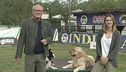 L'educa-cani