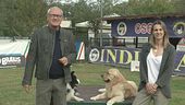 L'educa-cani