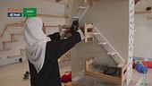 In Arabia Saudita: il primo hotel a 5 stelle per gatti