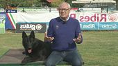 L'Educa-cani