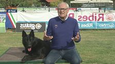 L'Educa-cani