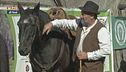 Turismo equestre