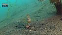 Esplorazione subacquea del lago di Bracciano