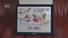 Il Pet Carpet Film Festival alla sua quinta edizione