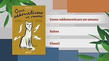 Un nuovo consiglio di lettura per gli amanti dei gatti
